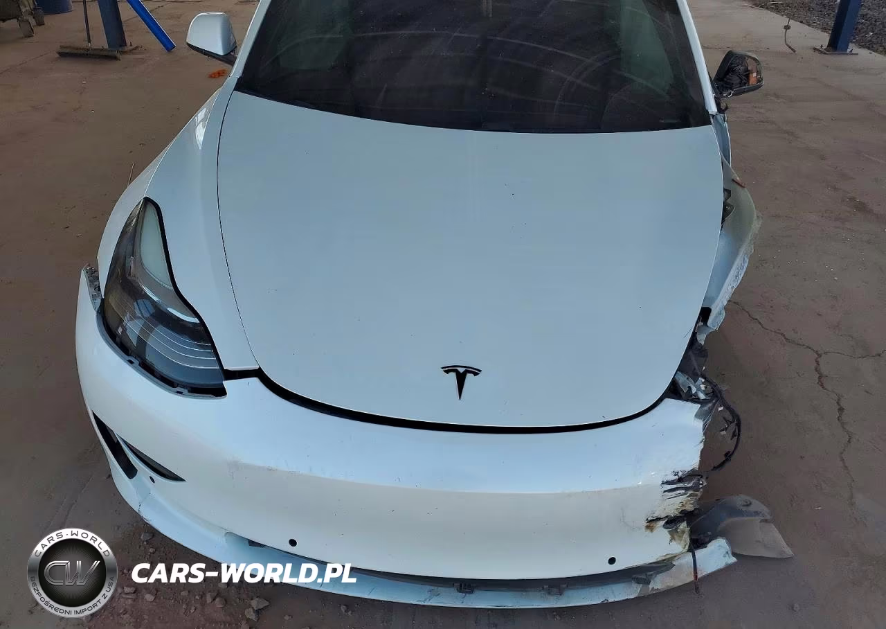 2020 Tesla Model 3 VIN:5YJ3E1EBXLF646361 - 11