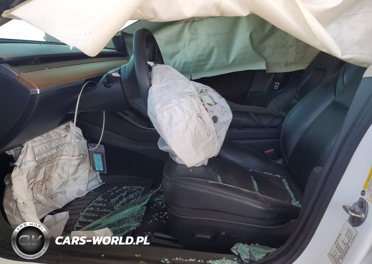 2020 Tesla Model 3 VIN:5YJ3E1EBXLF646361 - 7