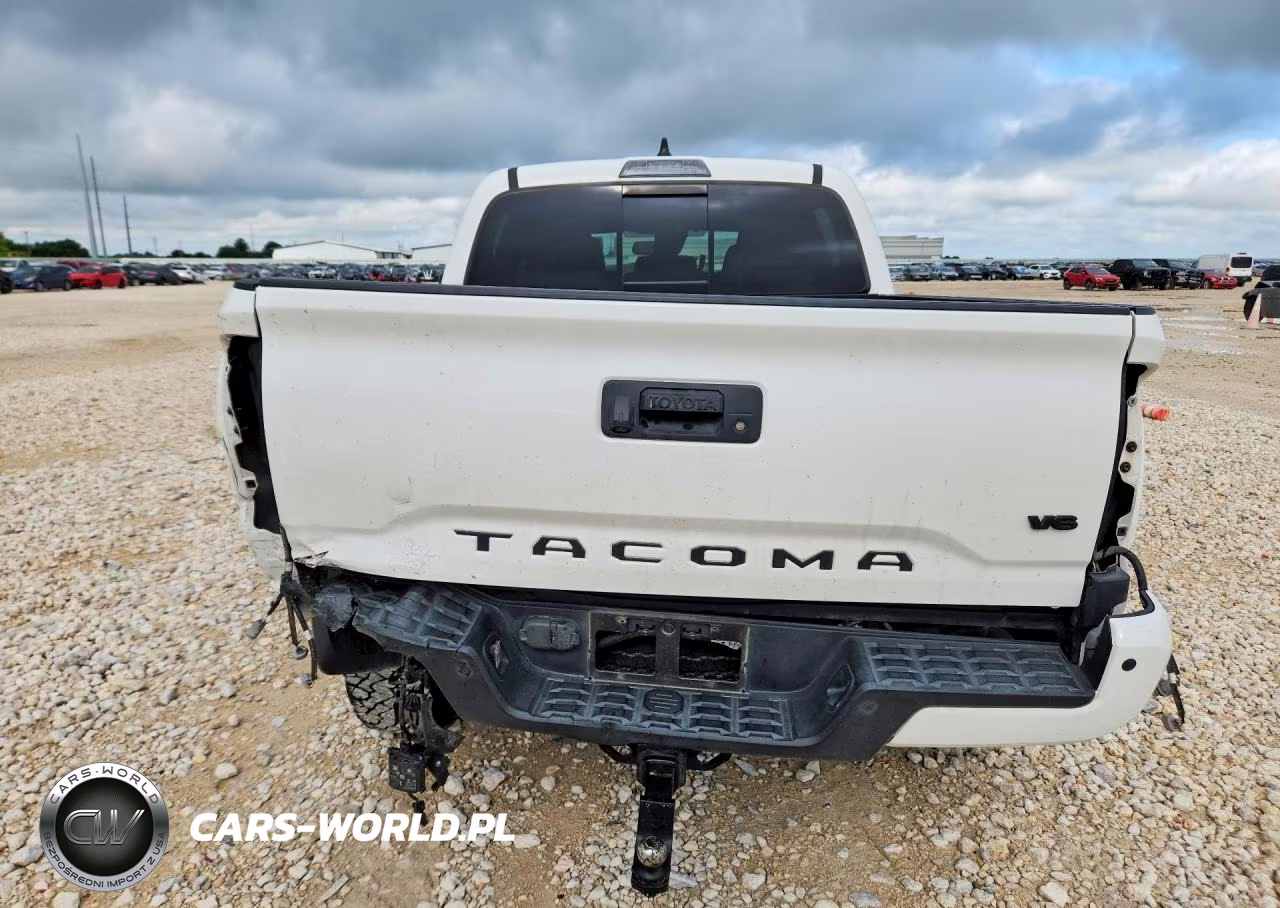 2023 Toyota Tacoma Trd Off-Road VIN:3TYCZ5AN3PT165997 - 6