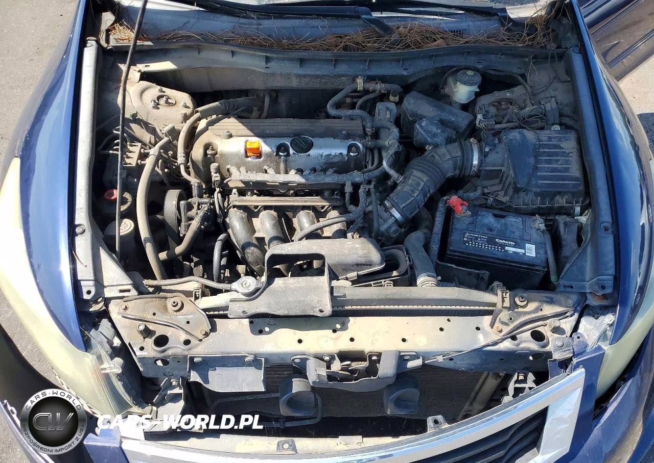 2009 Honda Accord Lxp VIN:1HGCP26479A116352 - 11
