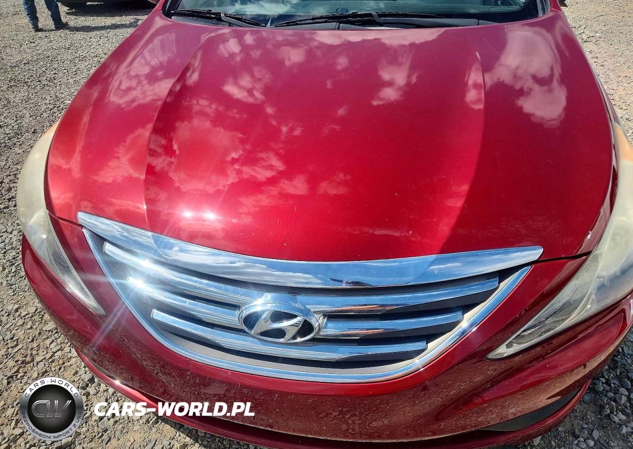 2014 Hyundai Sonata Limited VIN:5NPEC4AC9EH944290 - 11