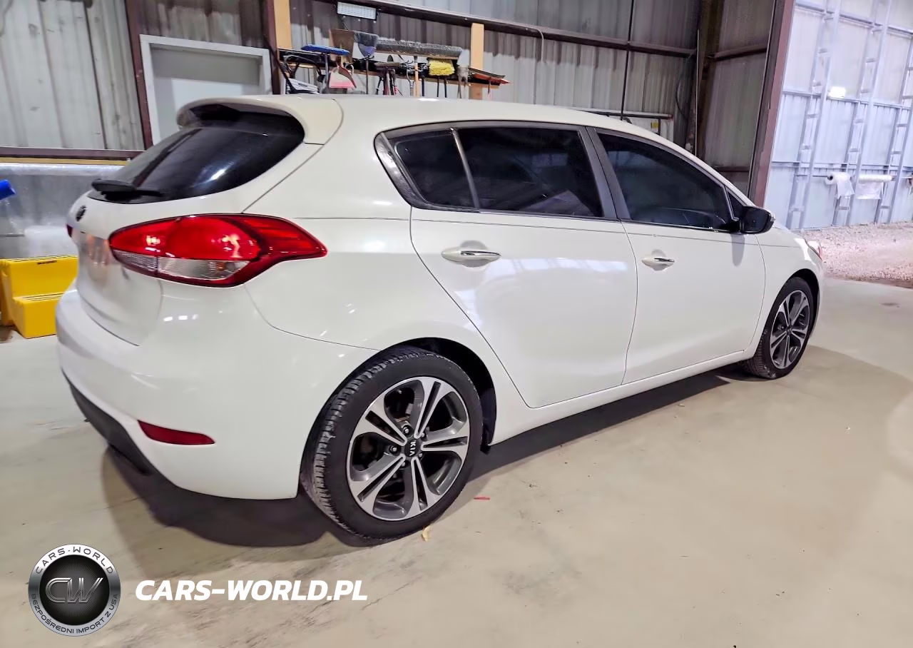 2016 Kia Forte Ex VIN:KNAFX5A80G5629436 - 3