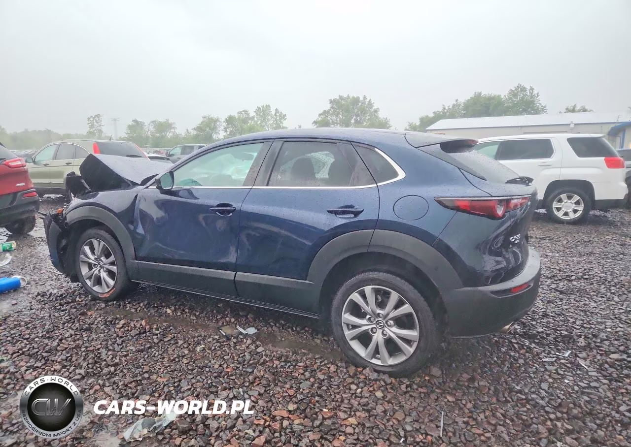 2020 Mazda Cx-30 Select VIN:3MVDMBCL2LM119367 - 2
