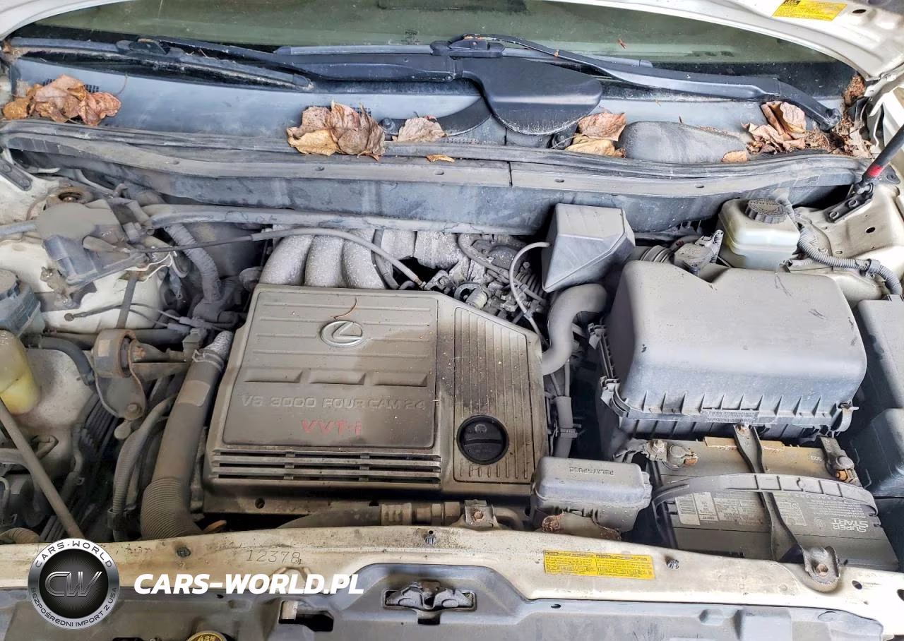 2002 Lexus Rx 300 VIN:JTJHF10UX20240814 - 12