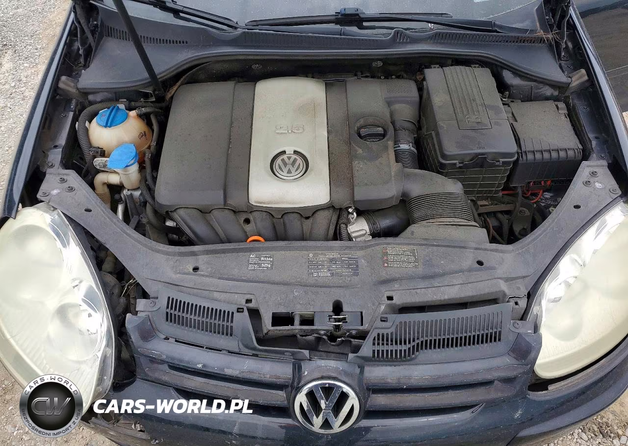 2009 Volkswagen Rabbit VIN:WVWDA71K79W080012 - 11