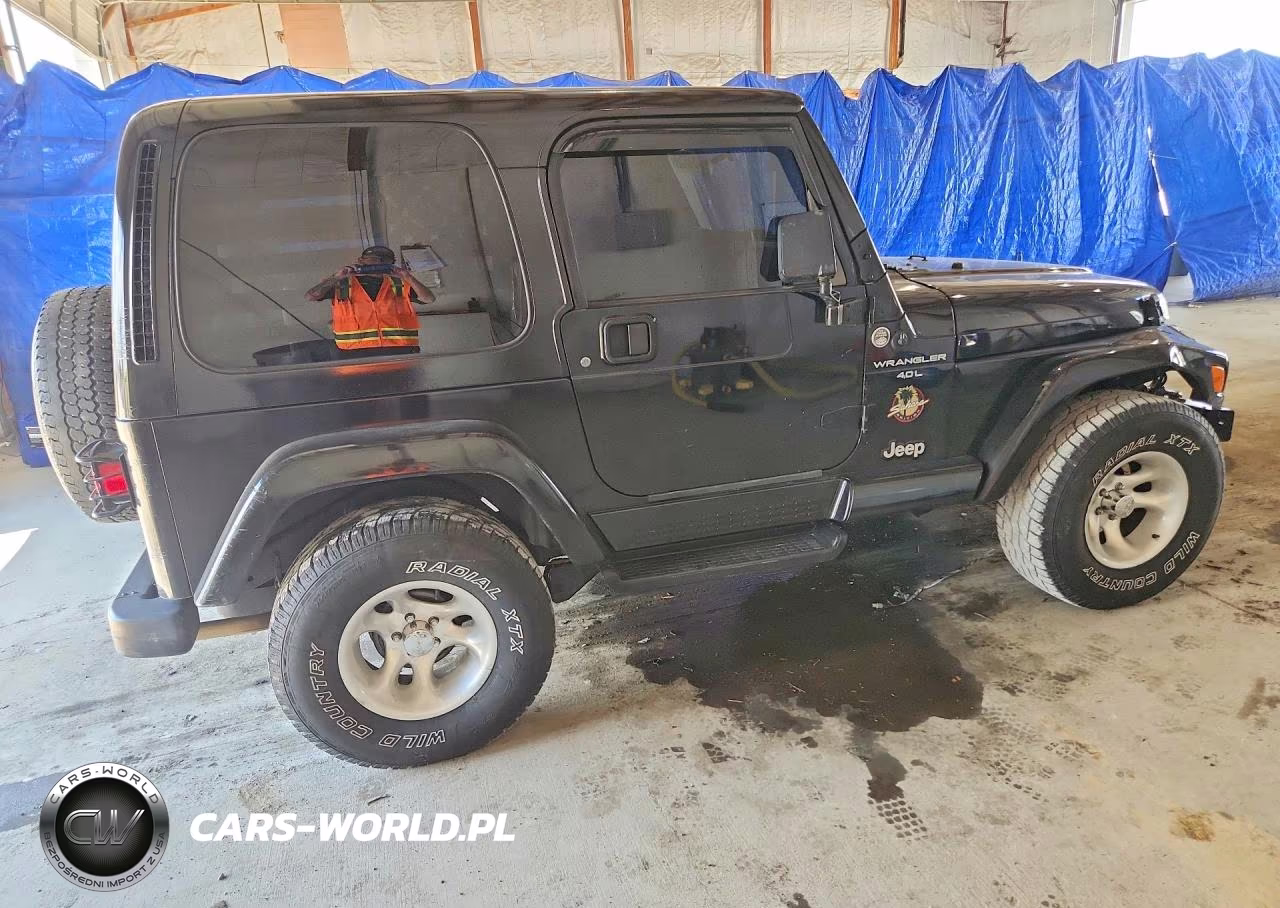 1999 Jeep Wrangler - Tj Sahara VIN:1J4FY49S1XP401485 - 3