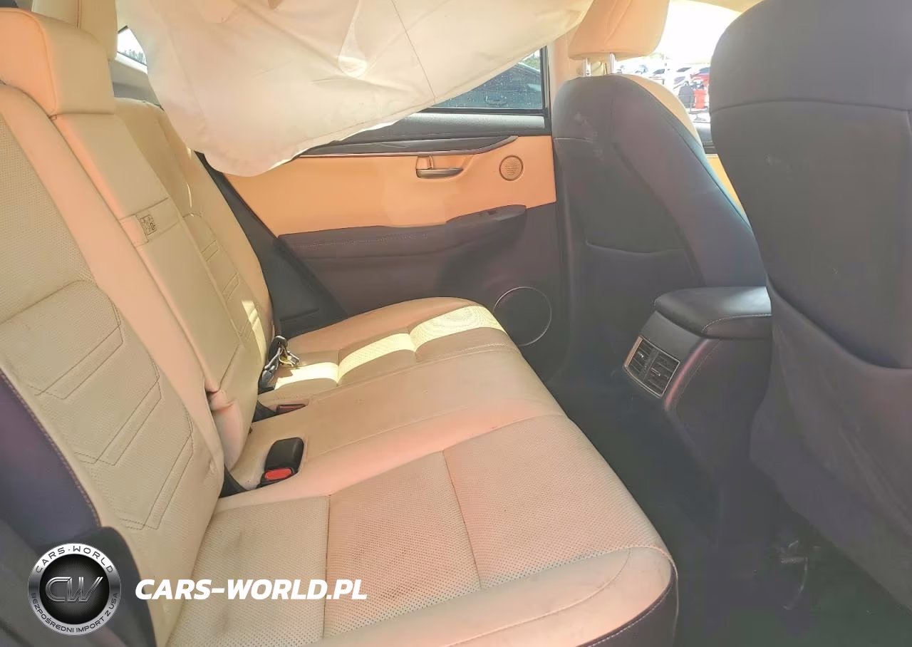 2015 Lexus Nx 200T VIN:JTJYARBZ2F2009146 - 11