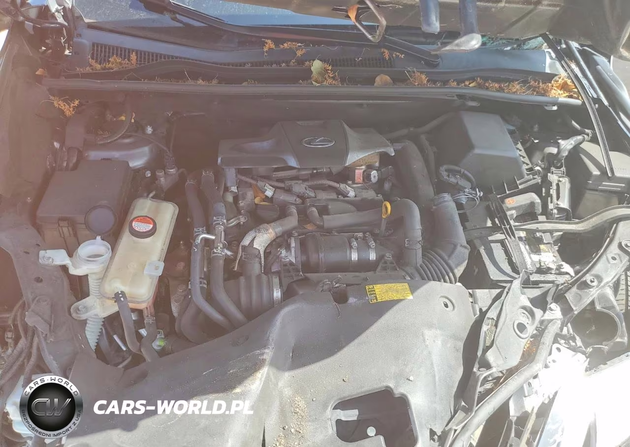 2015 Lexus Nx 200T VIN:JTJYARBZ2F2009146 - 12