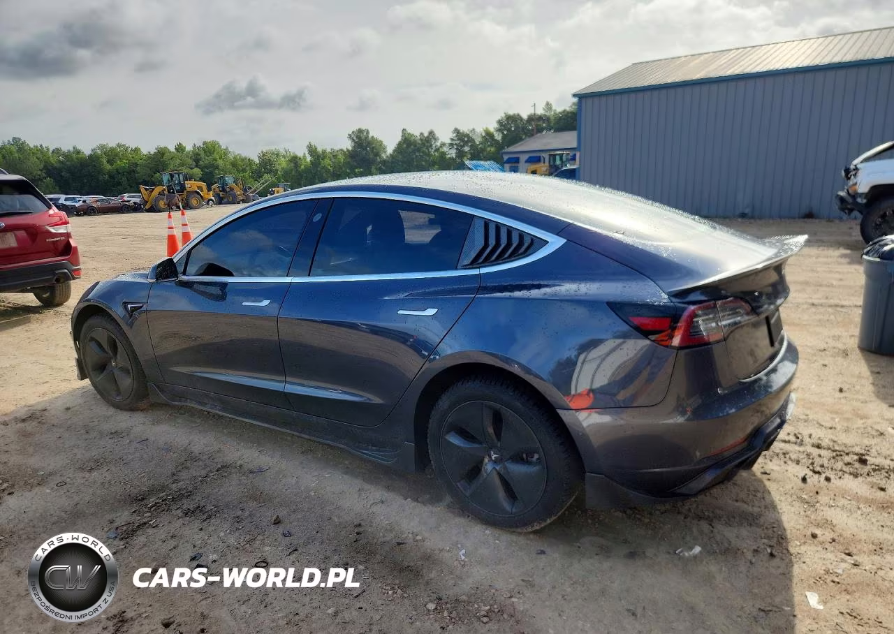 2019 Tesla Model 3 VIN:5YJ3E1EA2KF464191 - 2