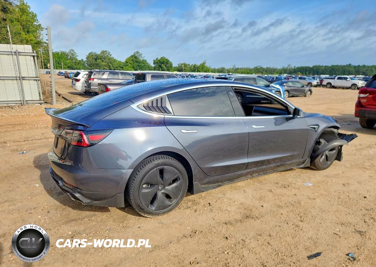 2019 Tesla Model 3 VIN:5YJ3E1EA2KF464191 - 3