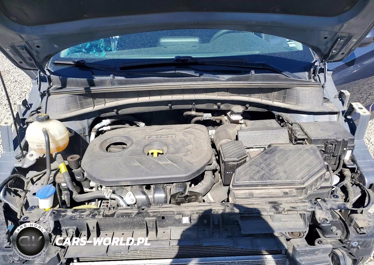 2019 Hyundai Tucson Se VIN:KM8J2CA41KU023358 - 12