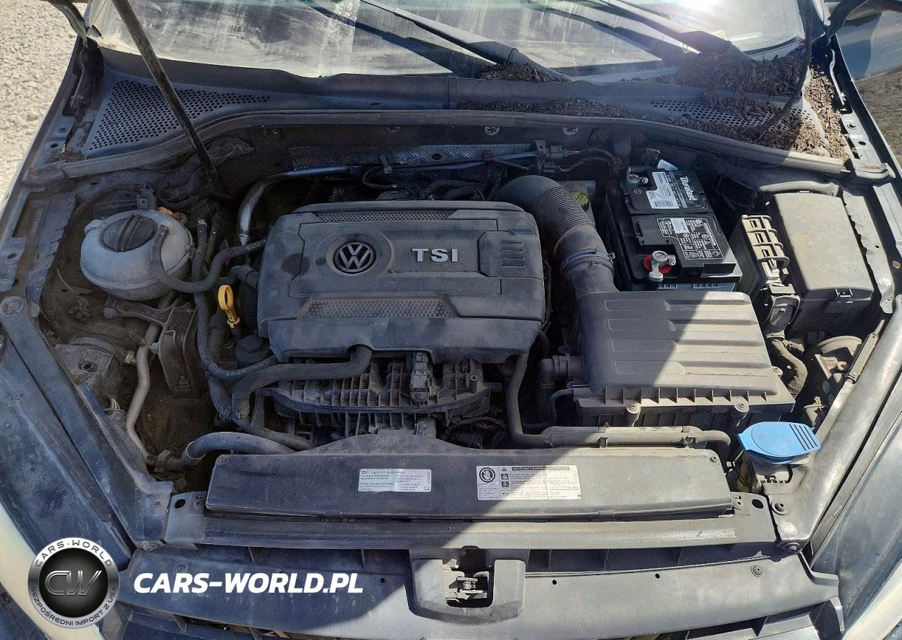 2016 Volkswagen Golf S VIN:3VW217AU0GM047422 - 11