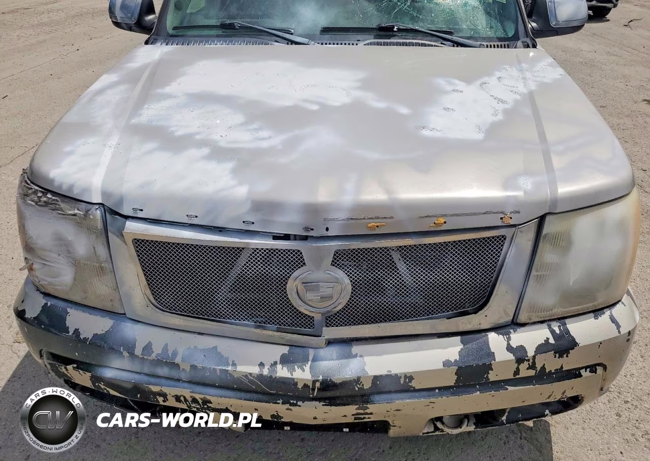 2005 Cadillac Escalade Luxury VIN:1GYEC63N35R234301 - 12