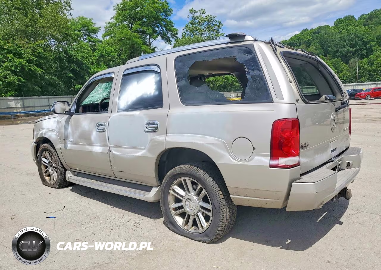 2005 Cadillac Escalade Luxury VIN:1GYEC63N35R234301 - 2
