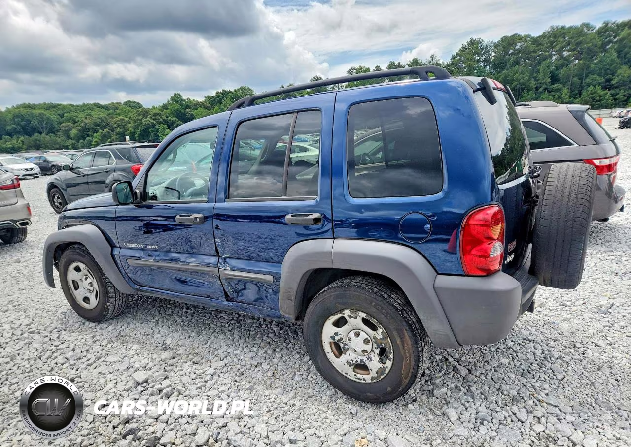 2003 Jeep Liberty Sport VIN:1J4GK48K93W619911 - 2
