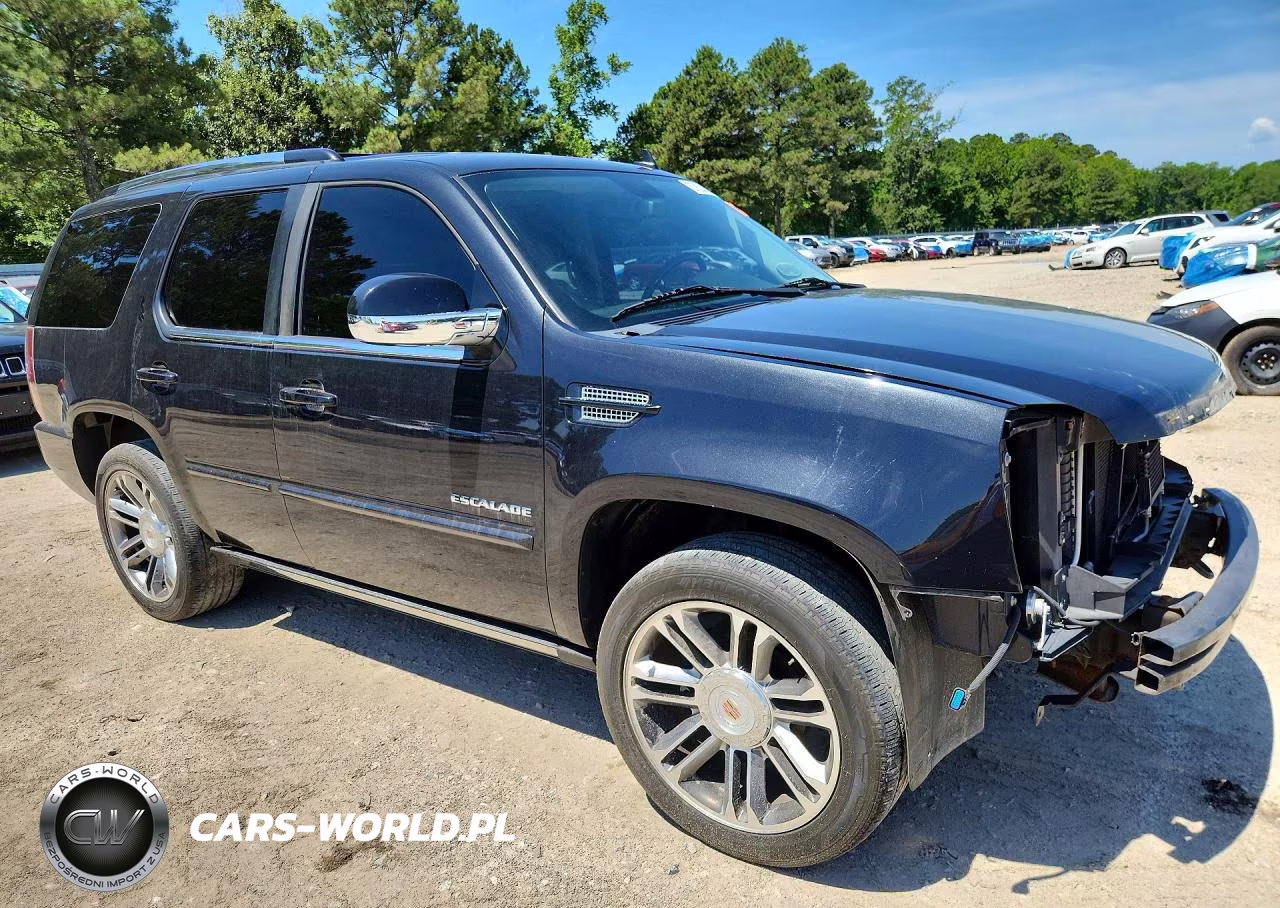 2012 Cadillac Escalade Premium VIN:1GYS4CEF1CR213464 - 4