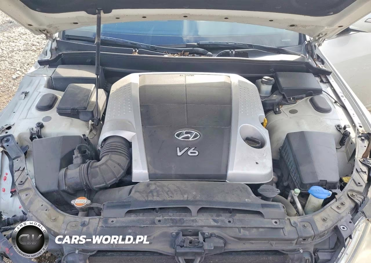 2009 Hyundai Genesis 3.8L VIN:KMHGC46E79U034924 - 11