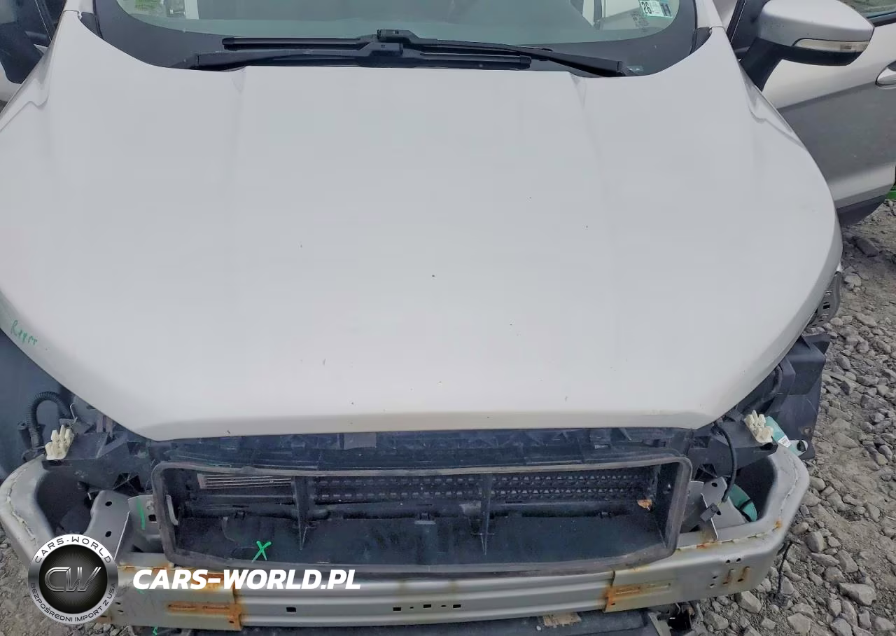 2020 Ford Ecosport Se VIN:MAJ6S3GL7LC334444 - 12