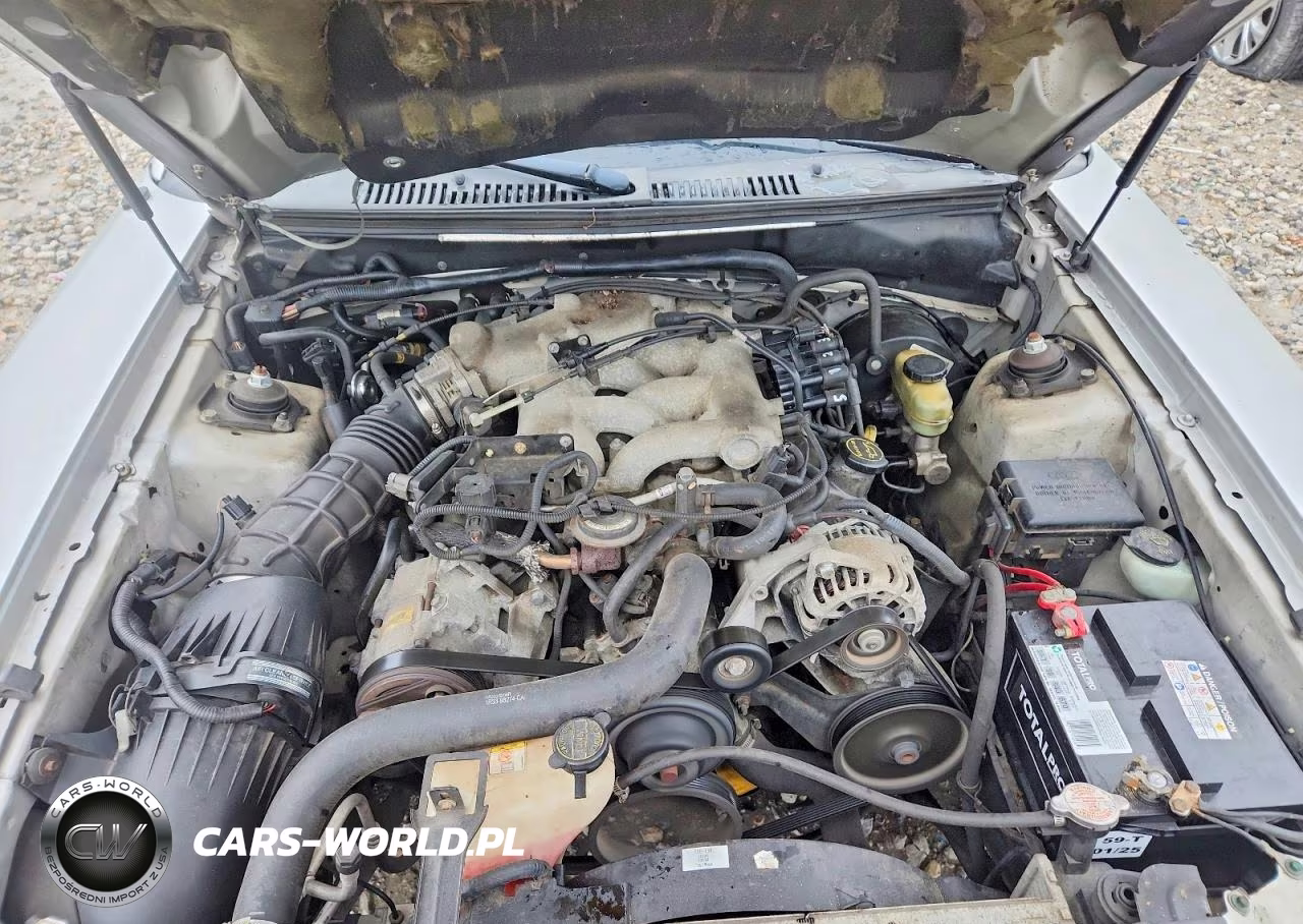 2003 Ford Mustang VIN:1FAFP44433F404976 - 11