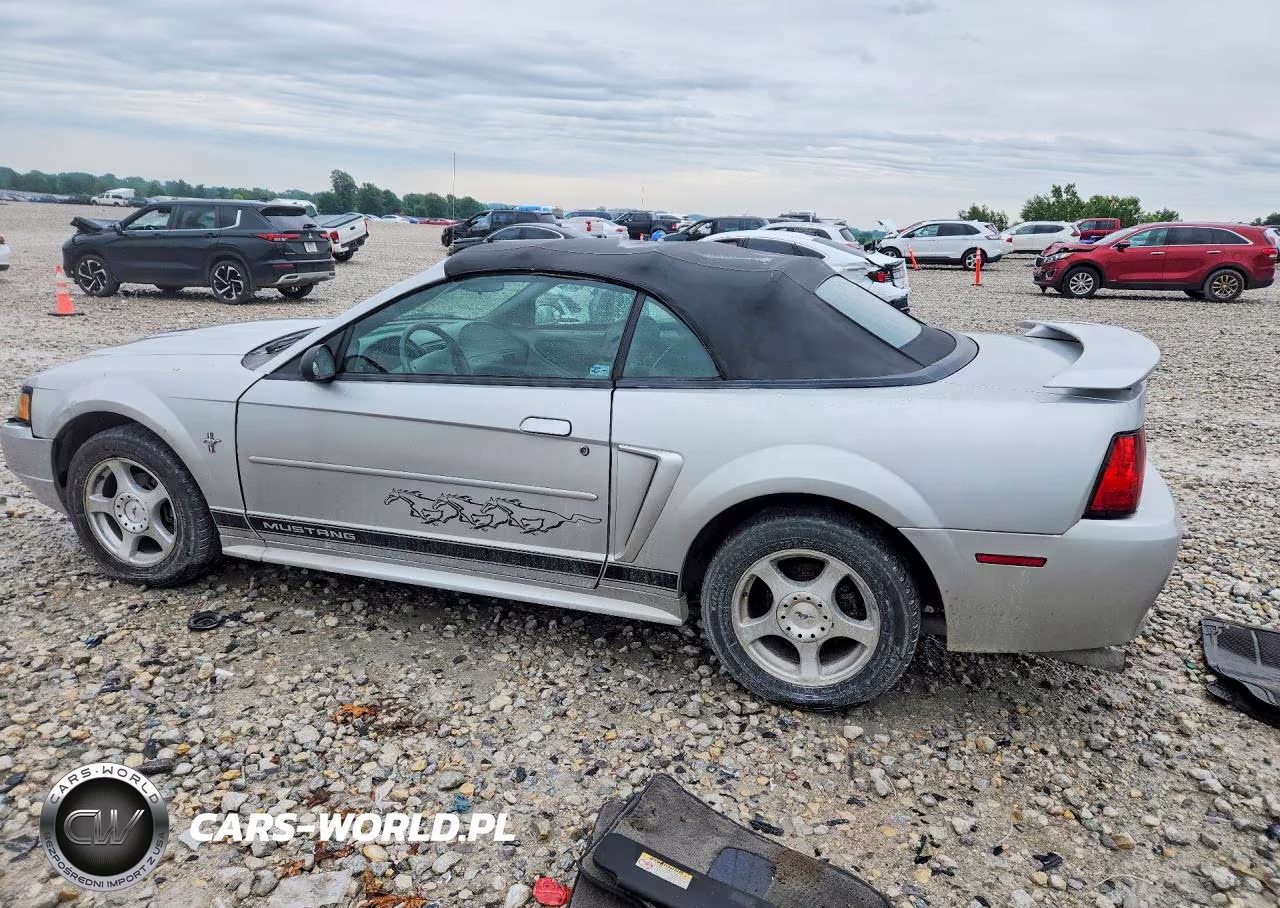 2003 Ford Mustang VIN:1FAFP44433F404976 - 2