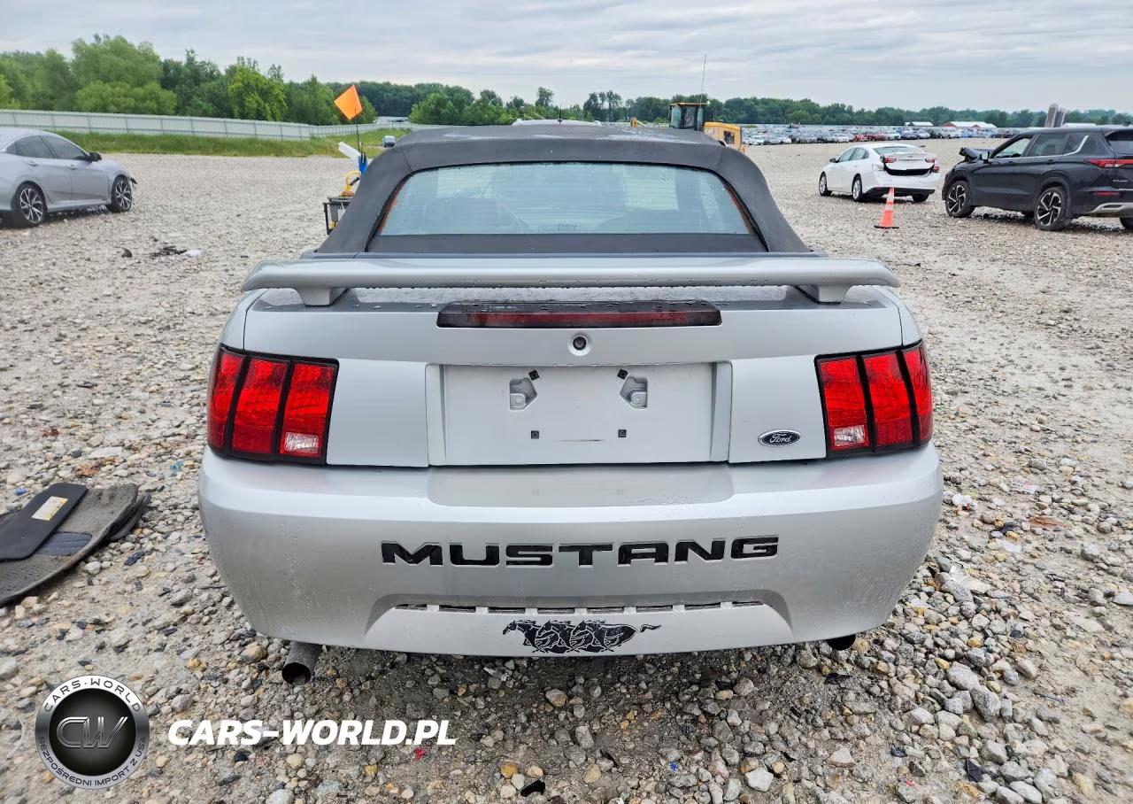 2003 Ford Mustang VIN:1FAFP44433F404976 - 6