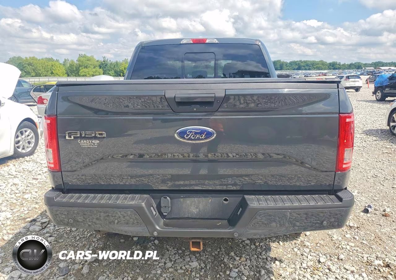 2016 Ford F150 Supercrew VIN:1FTEW1EP5GFB68661 - 6