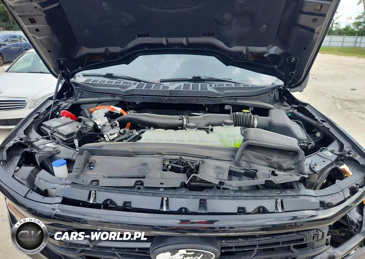 2024 Ford F150 Xlt VIN:1FTFW3LD4RFC07641 - 11