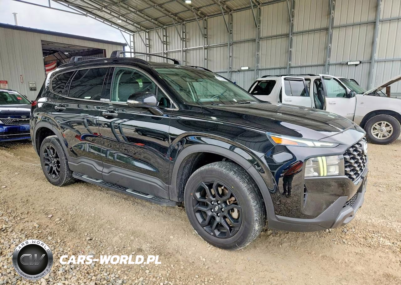 2022 Hyundai Santa Fe Xrt VIN:5NMS6DAJ3NH454997 - 4