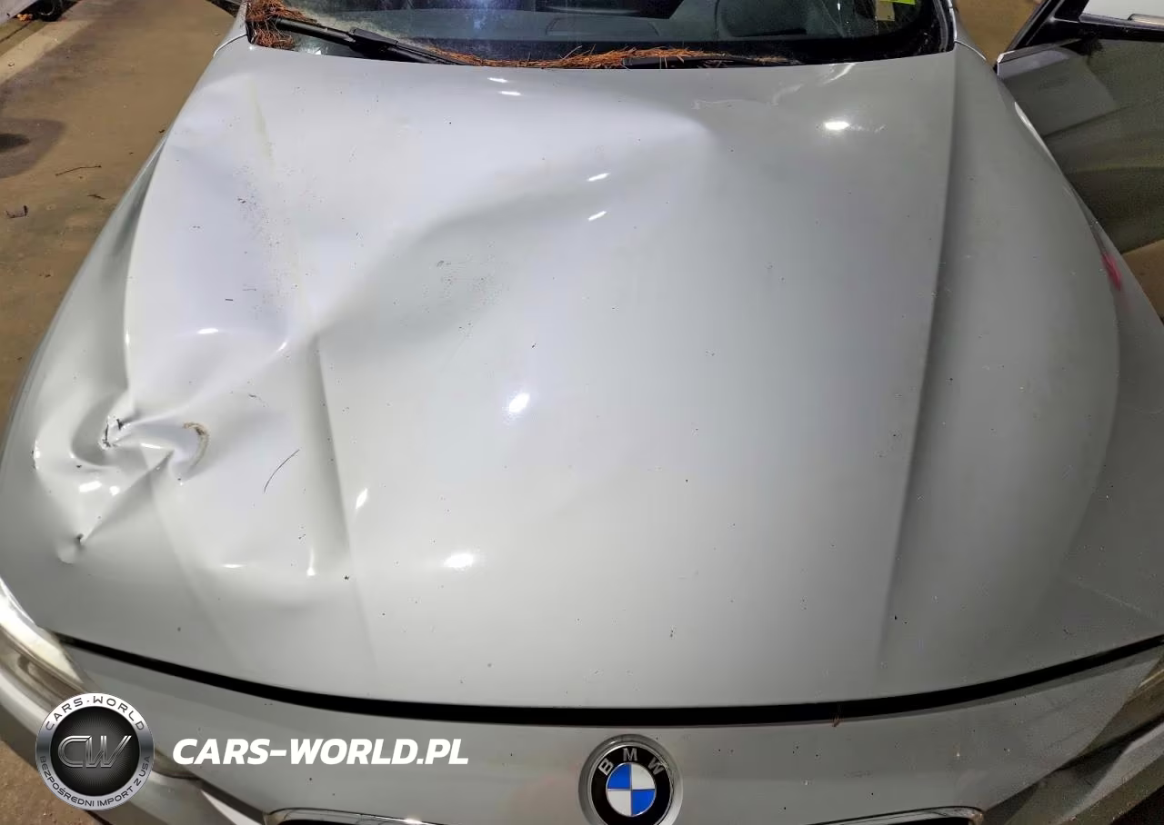 2016 BMW 328 Xi VIN:WBA8G5C57GK442790 - 11