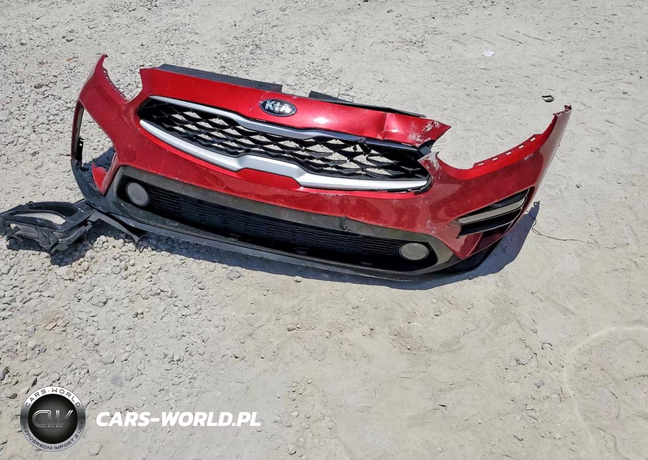 2019 Kia Forte Lxs VIN:3KPF24AD3KE019617 - 12