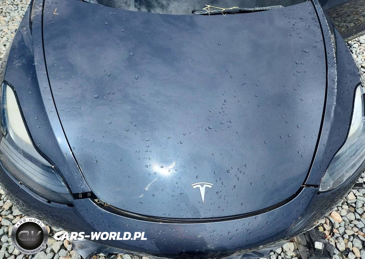 2022 Tesla Model 3 VIN:5YJ3E1EA4NF189993 - 11