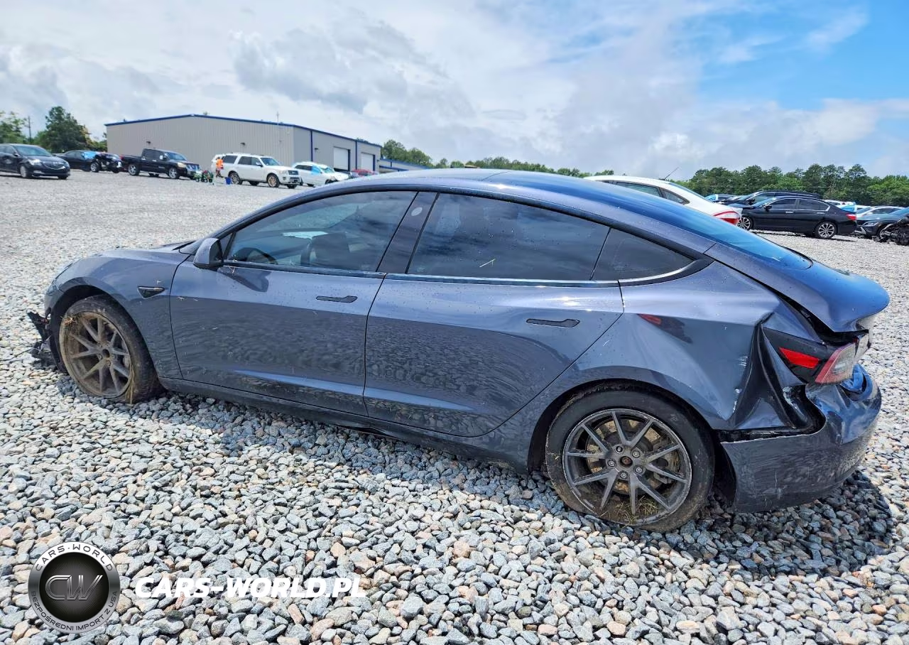 2022 Tesla Model 3 VIN:5YJ3E1EA4NF189993 - 2
