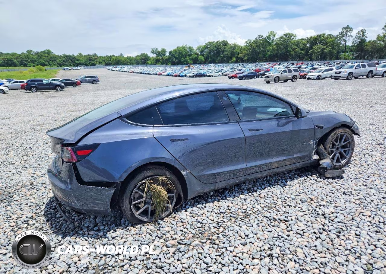 2022 Tesla Model 3 VIN:5YJ3E1EA4NF189993 - 3