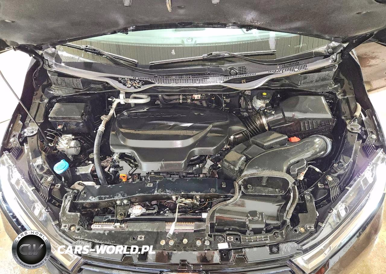 2024 Honda Odyssey Exl VIN:5FNRL6H63RB041697 - 12