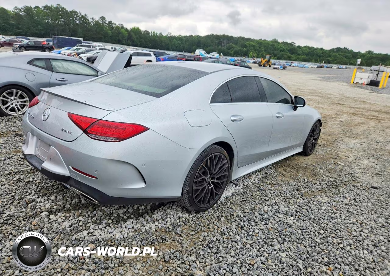 2019 Mercedes-Benz Cls 450 VIN:WDD2J5JB9KA027722 - 3