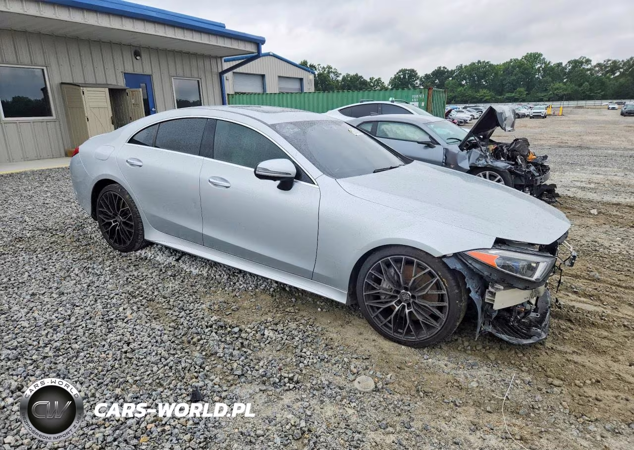 2019 Mercedes-Benz Cls 450 VIN:WDD2J5JB9KA027722 - 4