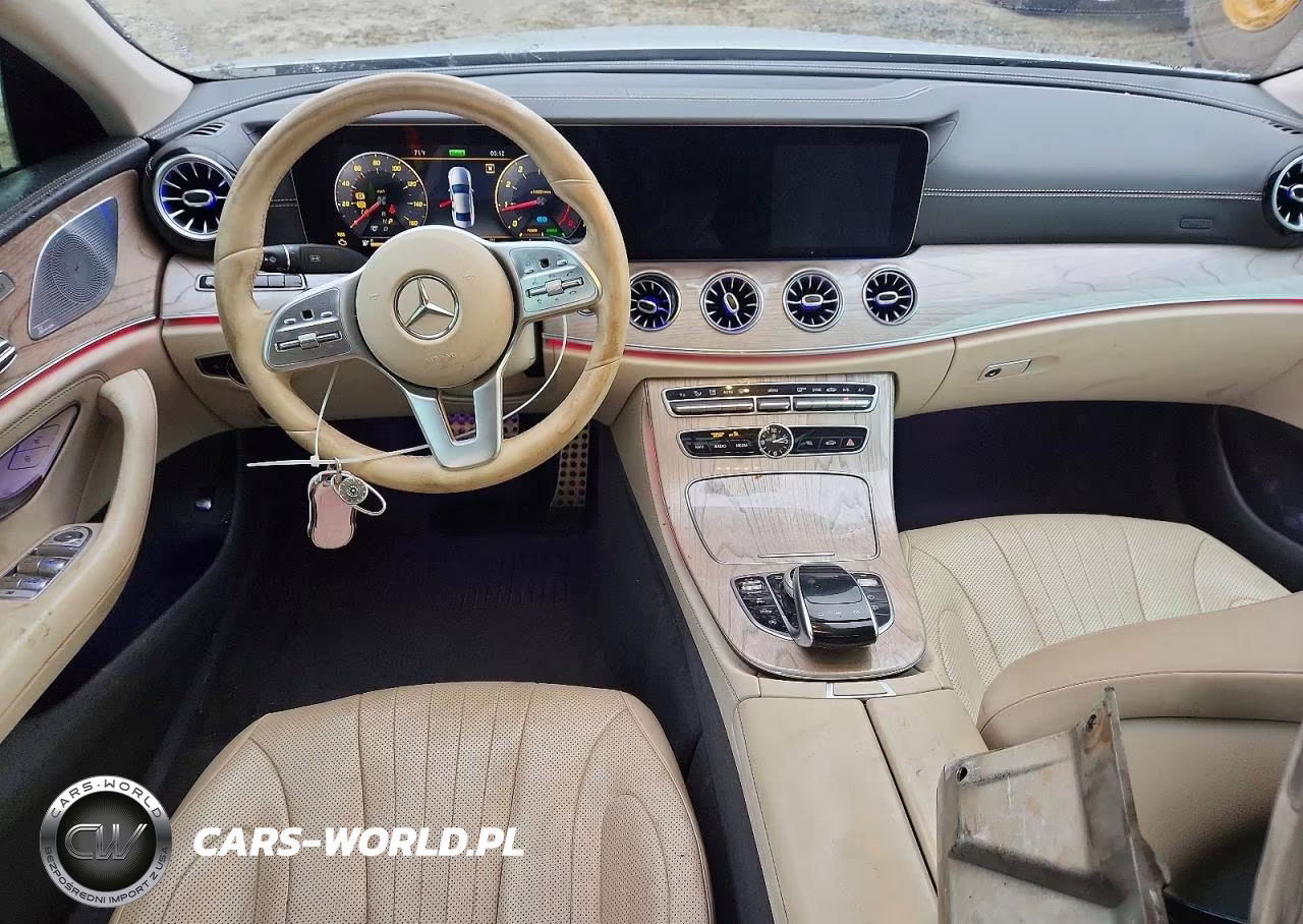 2019 Mercedes-Benz Cls 450 VIN:WDD2J5JB9KA027722 - 8