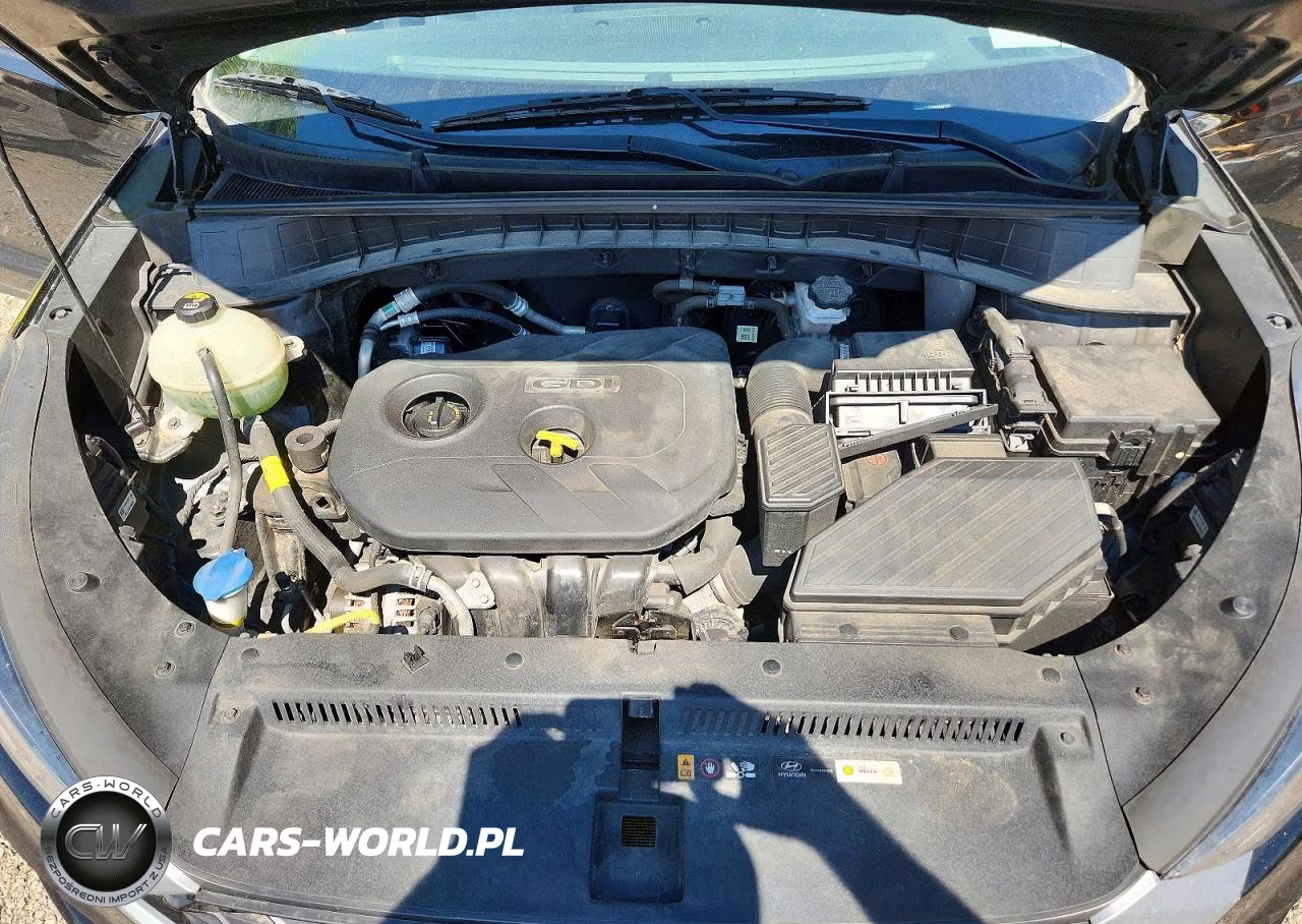 2019 Hyundai Tucson Value VIN:KM8J33A43KU866717 - 12