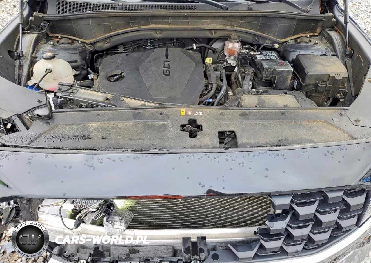 2023 Hyundai Santa Fe Sel VIN:5NMS24AJ2PH612938 - 12