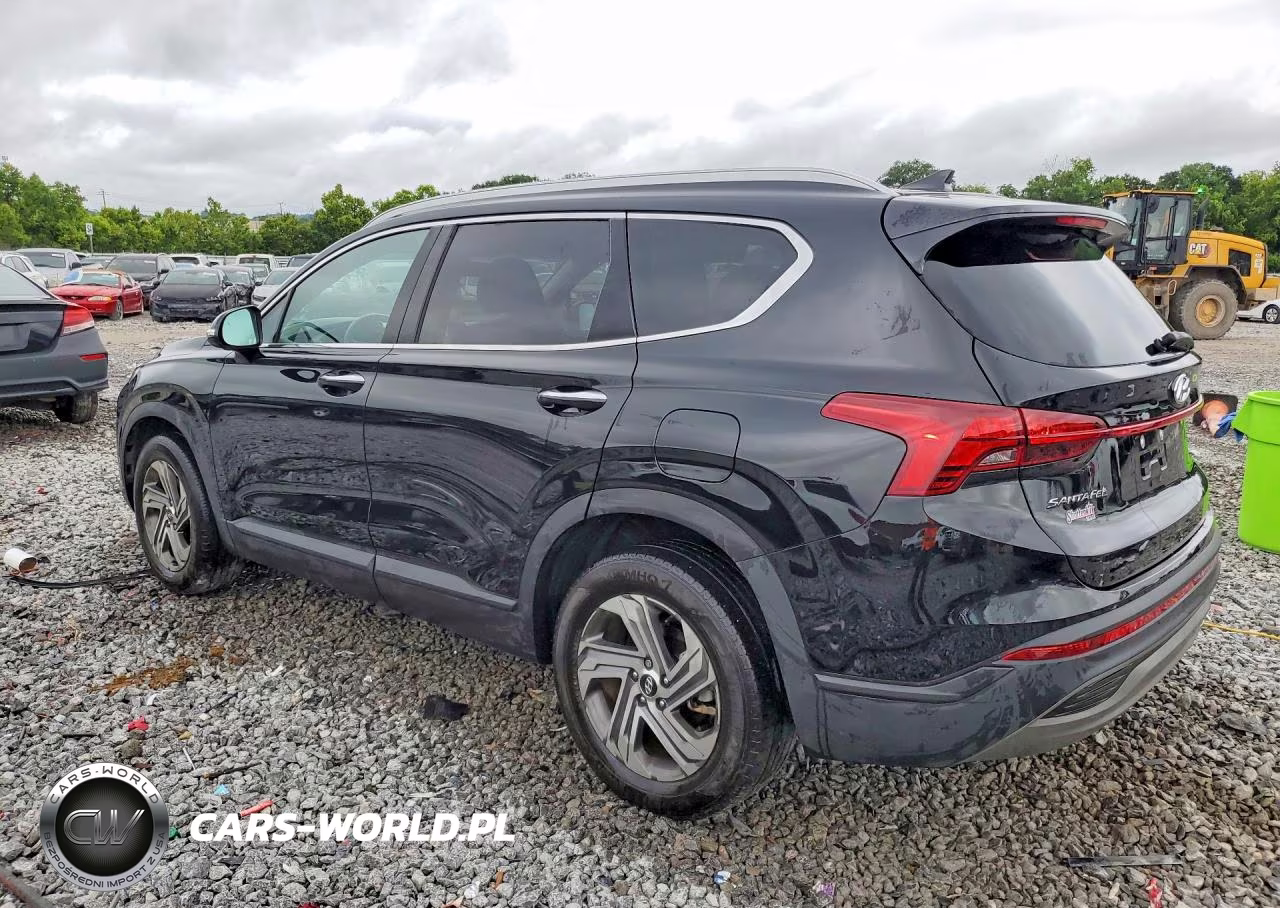 2023 Hyundai Santa Fe Sel VIN:5NMS24AJ2PH612938 - 2