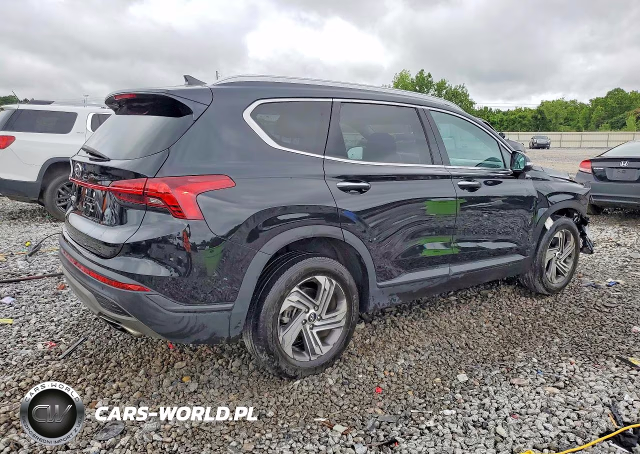 2023 Hyundai Santa Fe Sel VIN:5NMS24AJ2PH612938 - 3