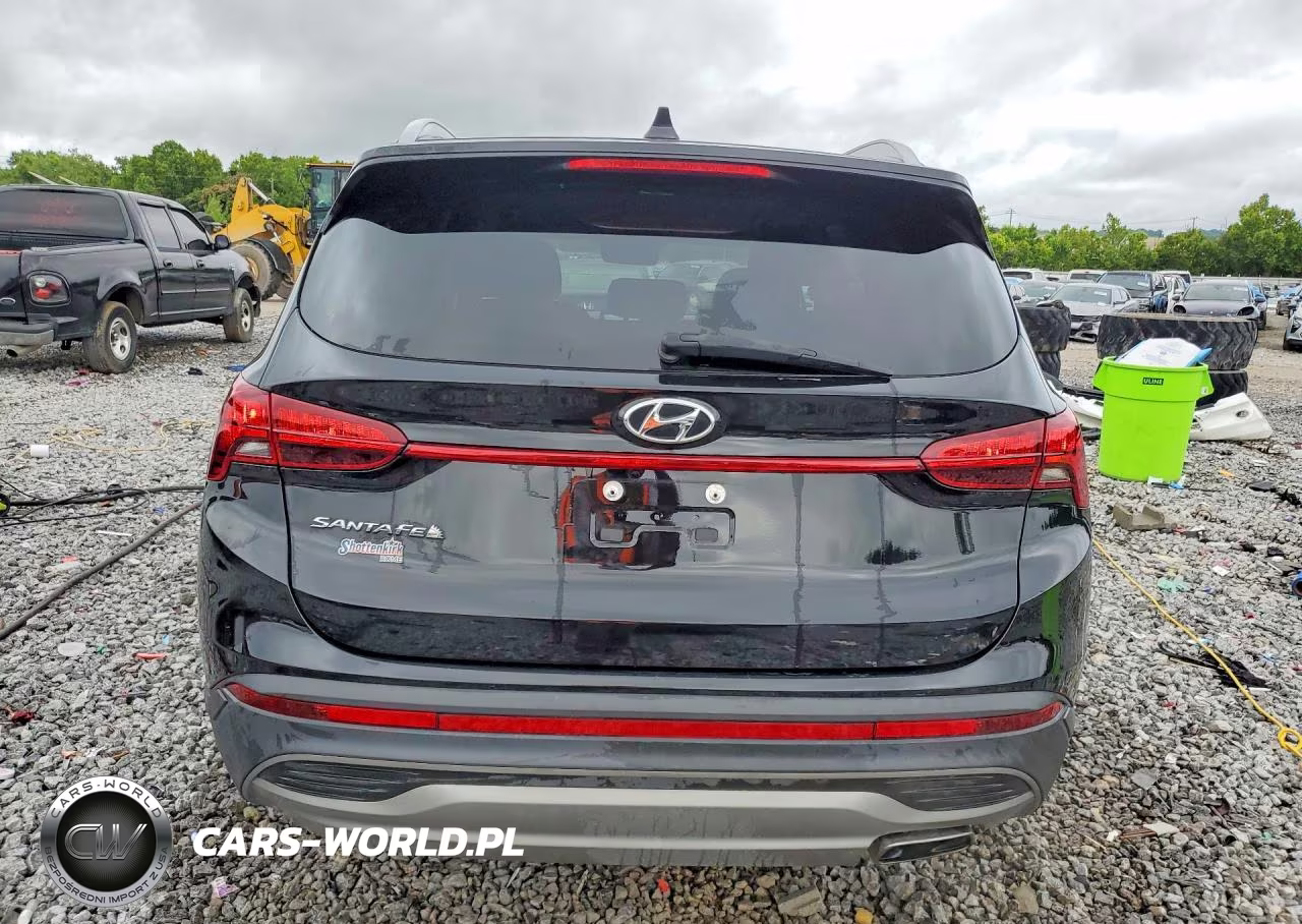 2023 Hyundai Santa Fe Sel VIN:5NMS24AJ2PH612938 - 6