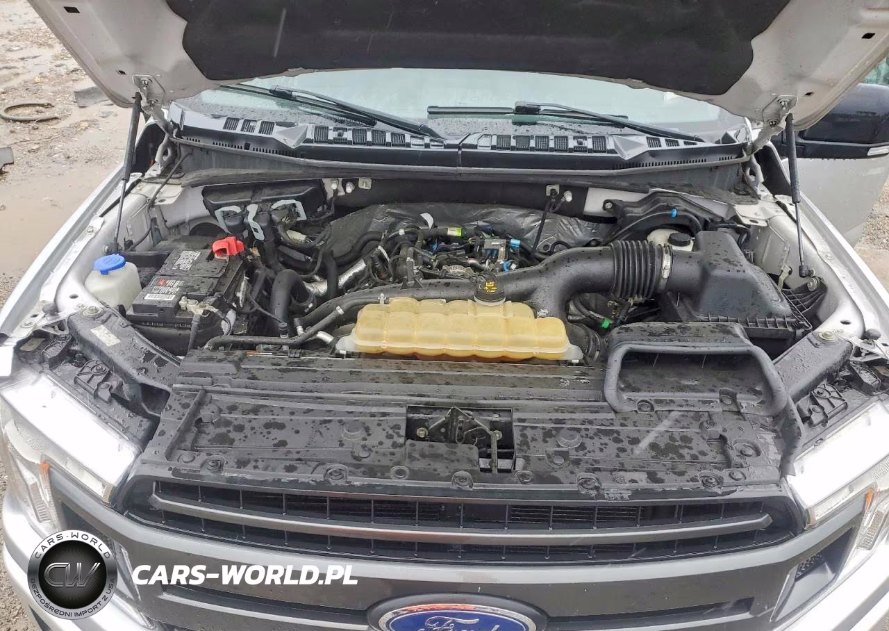2019 Ford F150 Supercrew VIN:1FTEW1EP3KFB16180 - 11