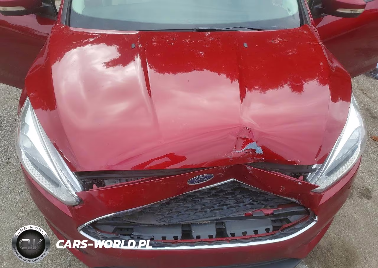2017 Ford Focus Se VIN:1FADP3F29HL221135 - 11