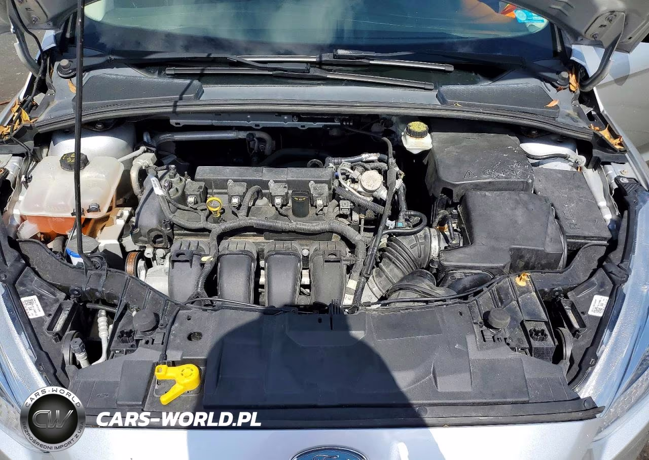 2017 Ford Focus Se VIN:1FADP3F26HL337845 - 11