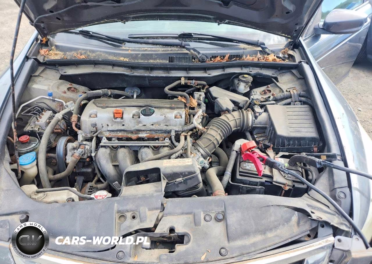 2010 Honda Accord Lxp VIN:1HGCP2F4XAA145039 - 11