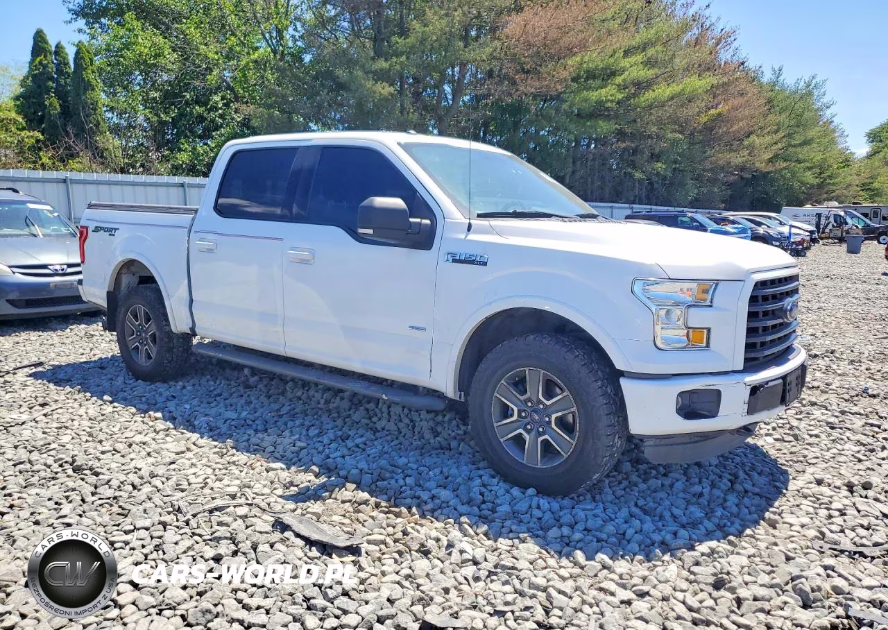 2016 Ford F150 Supercrew VIN:1FTEW1EP8GFC64350 - 4