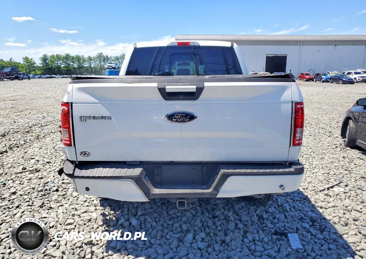 2016 Ford F150 Supercrew VIN:1FTEW1EP8GFC64350 - 6