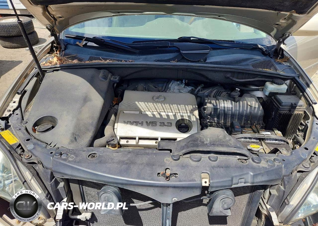 2005 Lexus Rx 330 VIN:2T2HA31U05C046102 - 12