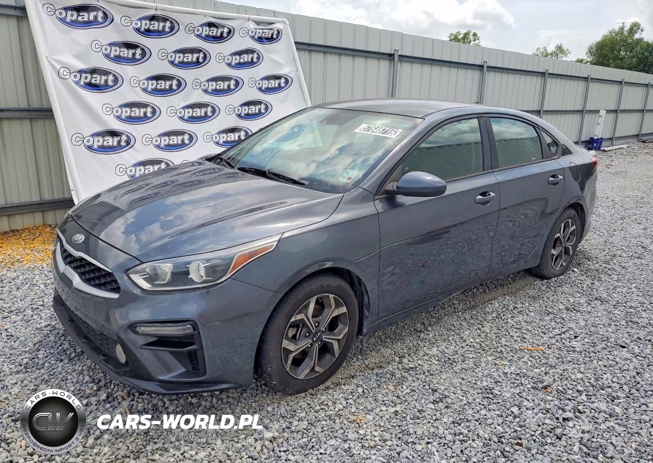2019 Kia Forte Lxs